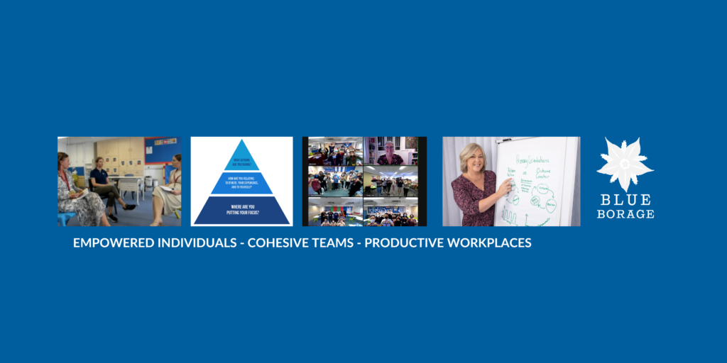 empowered individuals - cohesive teams - productive workplaces