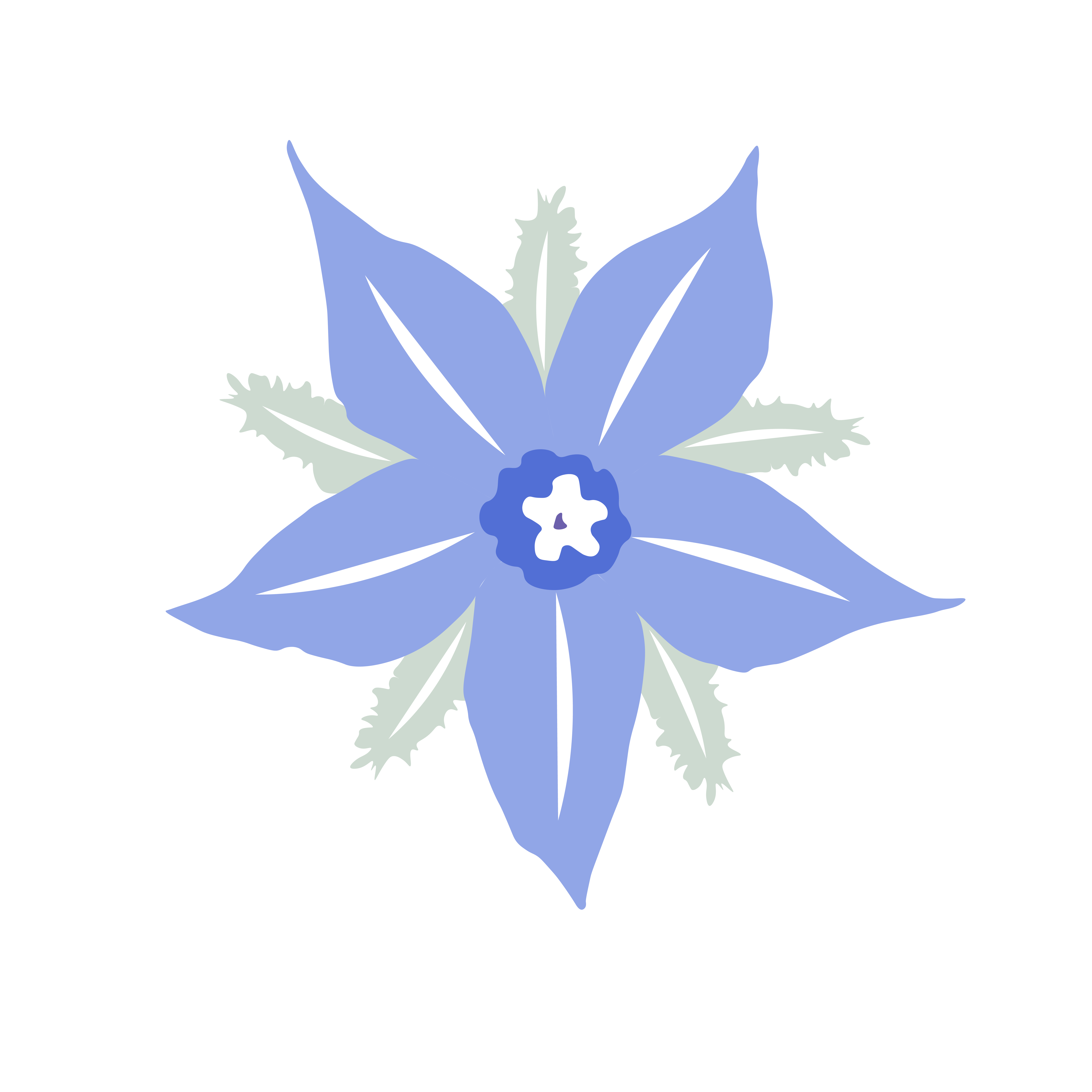 SusanDunlop_blueborage_colourwithfont